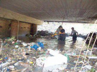 Denuncian que el arroyo arrastra animales en avanzada descomposici�n