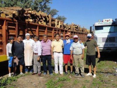 Madera misionera llega en tren a papelera de Jujuy
