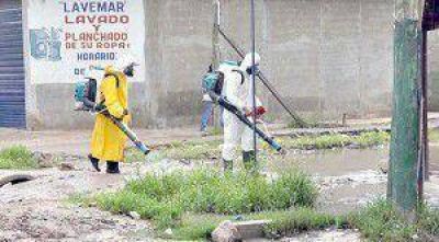 Lomas: por prevenci�n, fumigan y limpian calles, y aplican vacunas