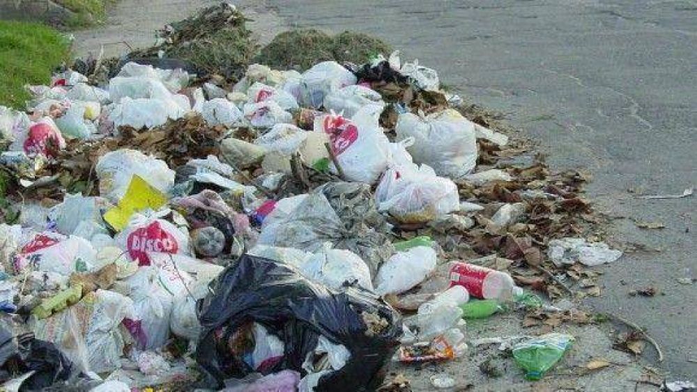 Limpian 30 basurales por d�a en la Capital