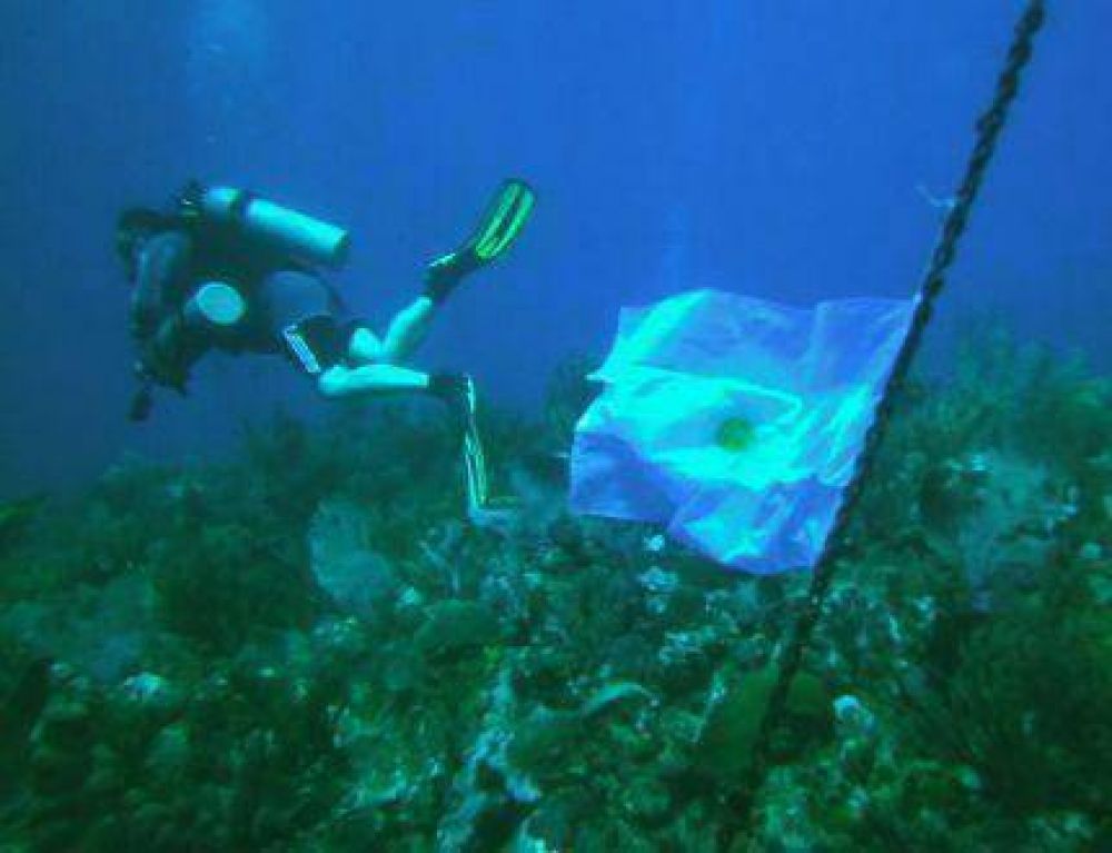 Proyecto de Parque Submarino en Mar del Plata; solamente faltar�a el visto bueno de Prefectura
