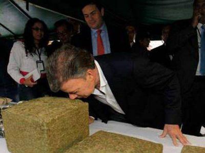 Juan Manuel Santos oli� marihuana en Medell�n