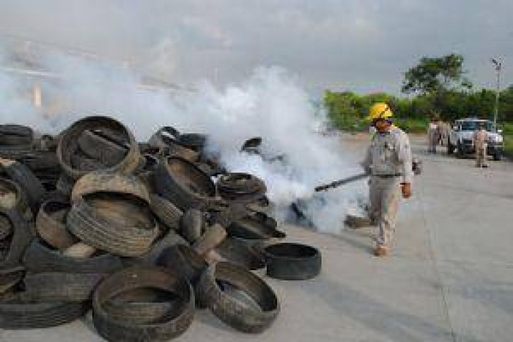 Anuncian acciones para combatir el dengue durante todo el a�o