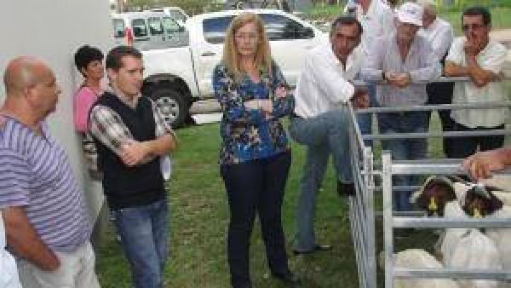 S�enz Pe�a: presentaron programas productivos para el sector ap�cola, hort�cola y caprino
