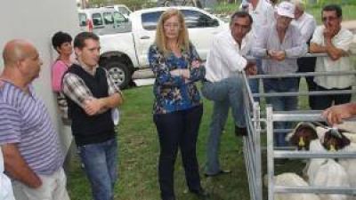 S�enz Pe�a: presentaron programas productivos para el sector ap�cola, hort�cola y caprino