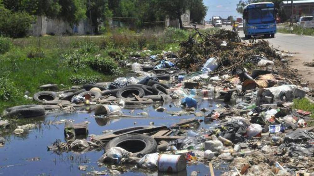 El Ministerio de Salud confirm� 50 casos de dengue en C�rdoba