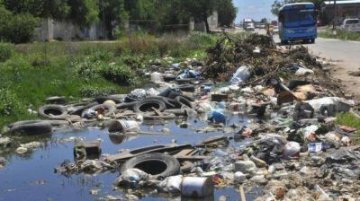 El Ministerio de Salud confirm� 50 casos de dengue en C�rdoba
