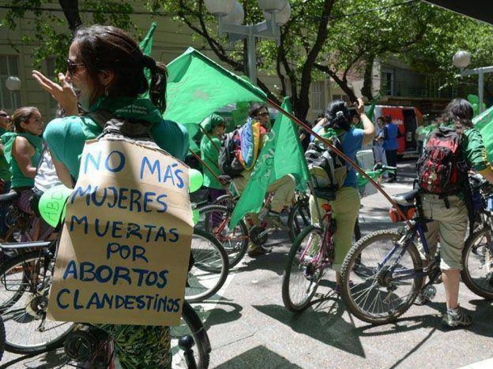 El proyecto de subsidio para violadas y embarazadas es muy criticado