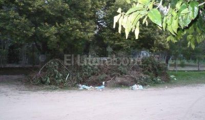 Rinc�n: a partir de ma�ana se recoger� la basura los s�bados
