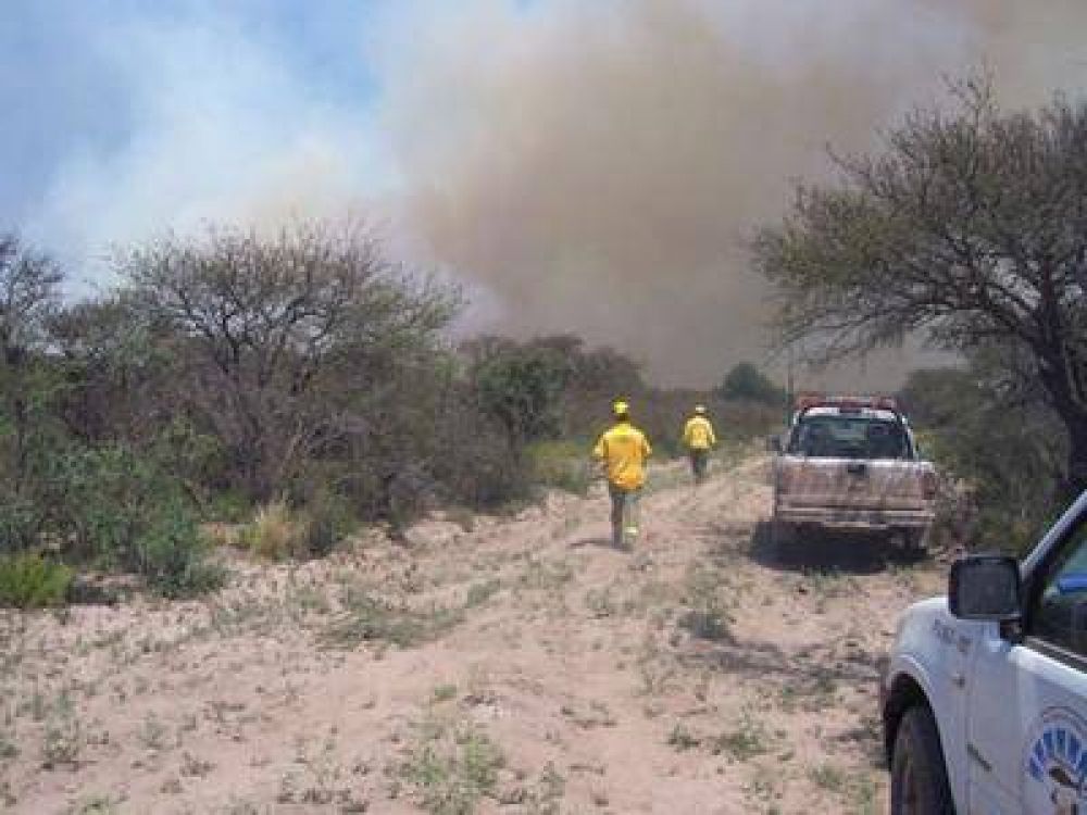 Incendios rurales: Se registraron 38 focos durante la temporada