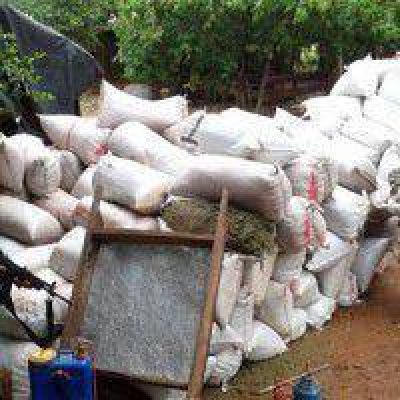 Paraguay: Secuestraron 5.500 kilos de marihuana que ven�an para el Chaco