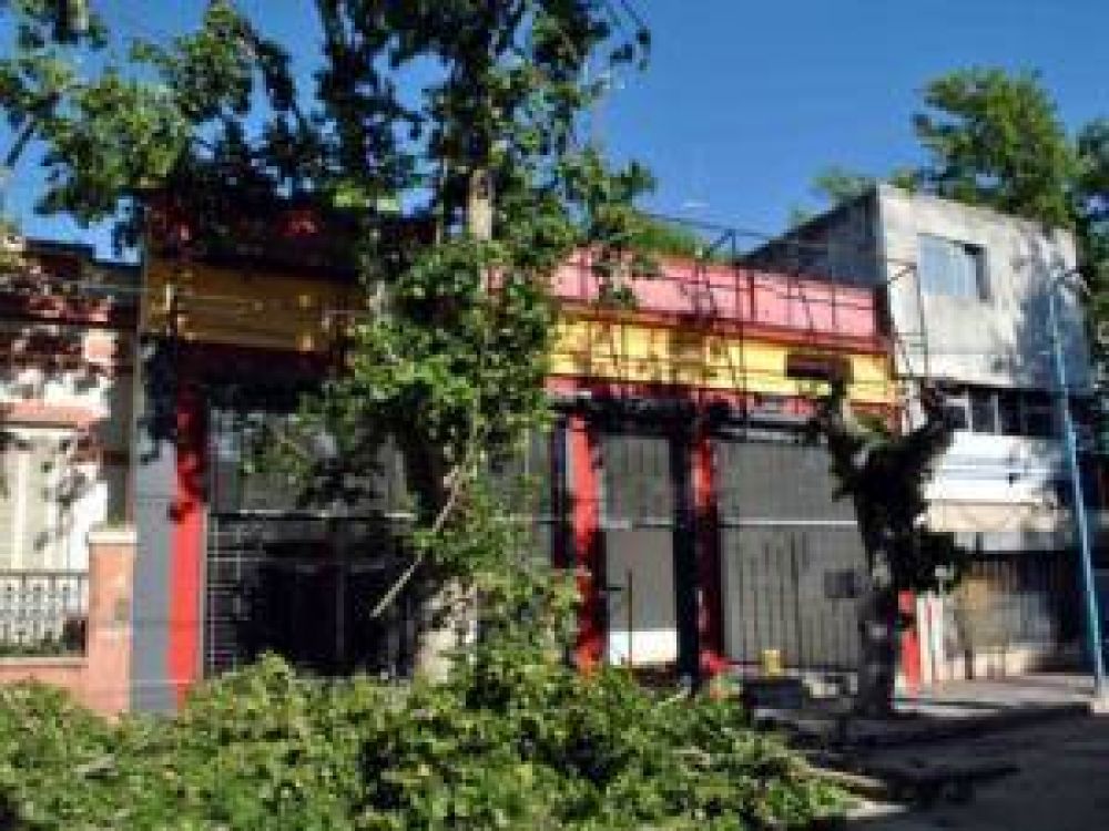 Habr� multas de hasta 30 mil pesos en casos de poda ilegal
