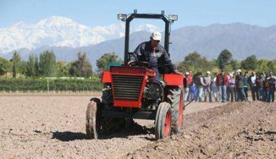 Agroindustria present� un tractor argentino dise�ado para la agricultura familiar