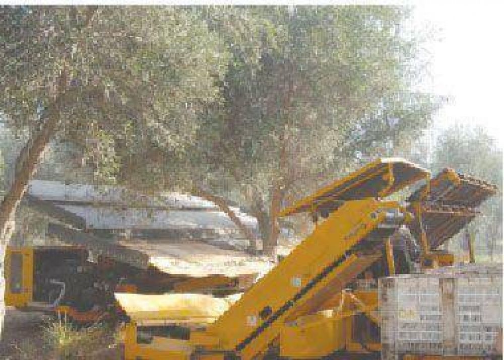 Destacan los beneficios de la mecanizaci�n de la cosecha