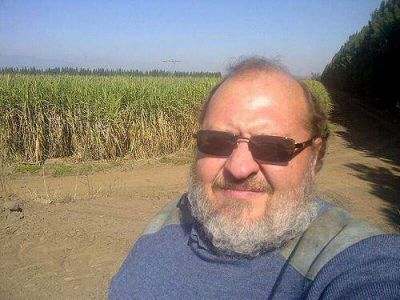 Productores proponen la generaci�n de destiler�as para producir alcohol