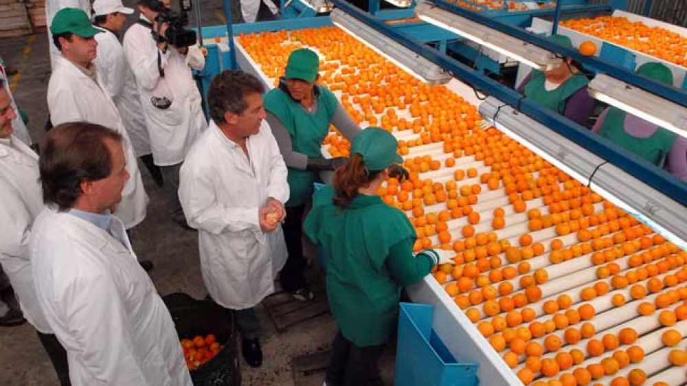 Tecnolog�a para la producci�n citr�cola, vitivin�cola y de la nuez pec�n	 