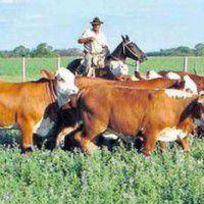 Aumentan los trabajadores y productores registrados en el Chaco