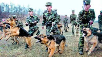 Para poder comer, norcoreanos cruzan la frontera con China