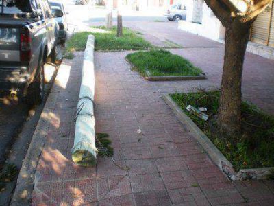 Empleado sufri� lesiones tras caer de columna