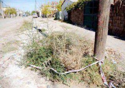 Al borde de la muerte tras una salvaje golpiza 