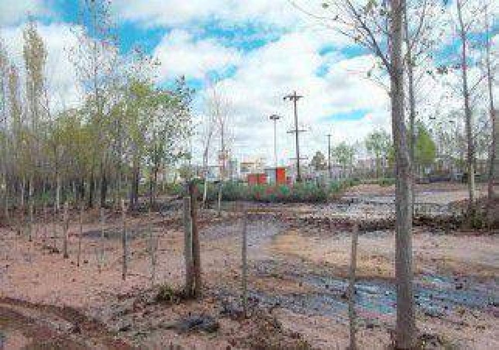 Subir�n 50 veces multas a petroleras 