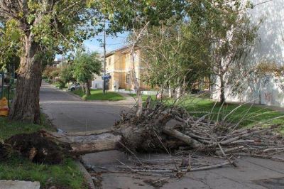 Cuatro evacuados durante el fin de semana producto de los fuertes vientos