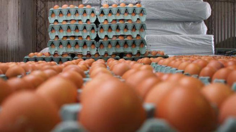No hay huevos en los s�per y peligra la provisi�n de pastas