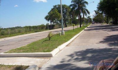 Comenzaron los trabajos previos de mejoras en avenida Libertad