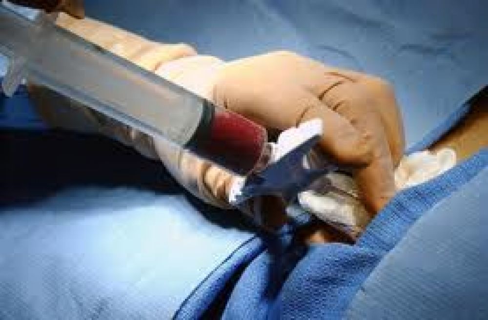  Convocan a los marplatenses para que formen parte del Registro Nacional de Donantes de M�dula �sea