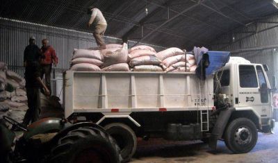 Nueva entrega de semillas de agropiro para el distrito
