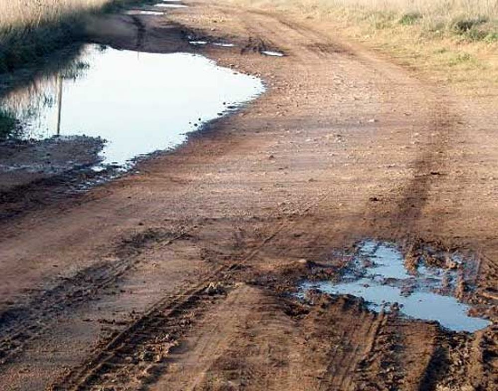 El Municipio pidi� sanciones contra productores rurales