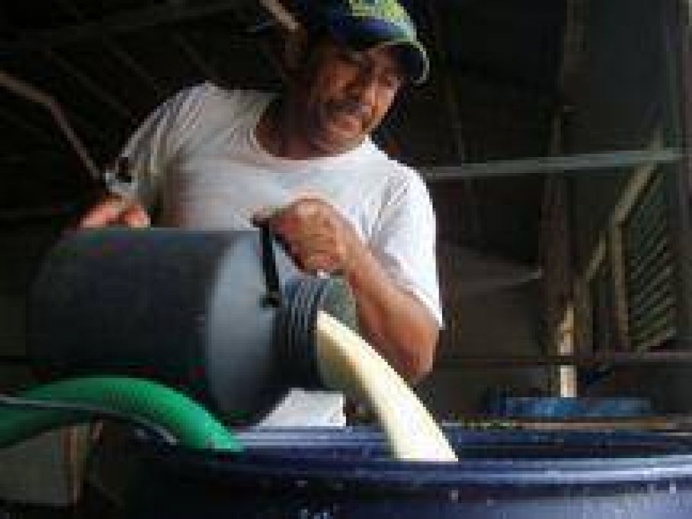 Productores lecheros contin�an con los reclamos por los bajos precios