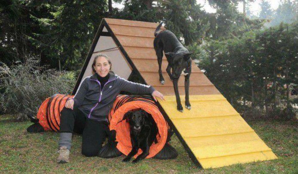 Barilochense competir� en novedoso deporte para perros