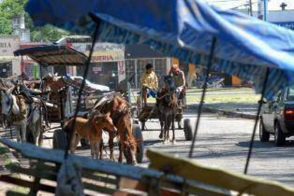 Amaya vet� la creaci�n de un registro de carros