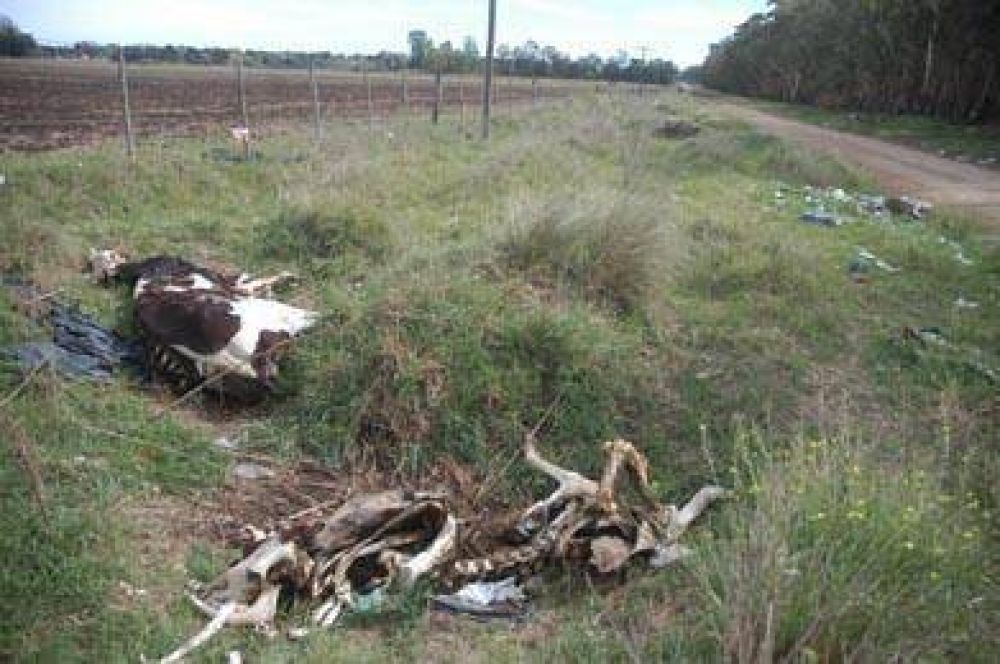Malestar por la gran cantidad de basura acumulada en el Camino de Circunvalaci�n