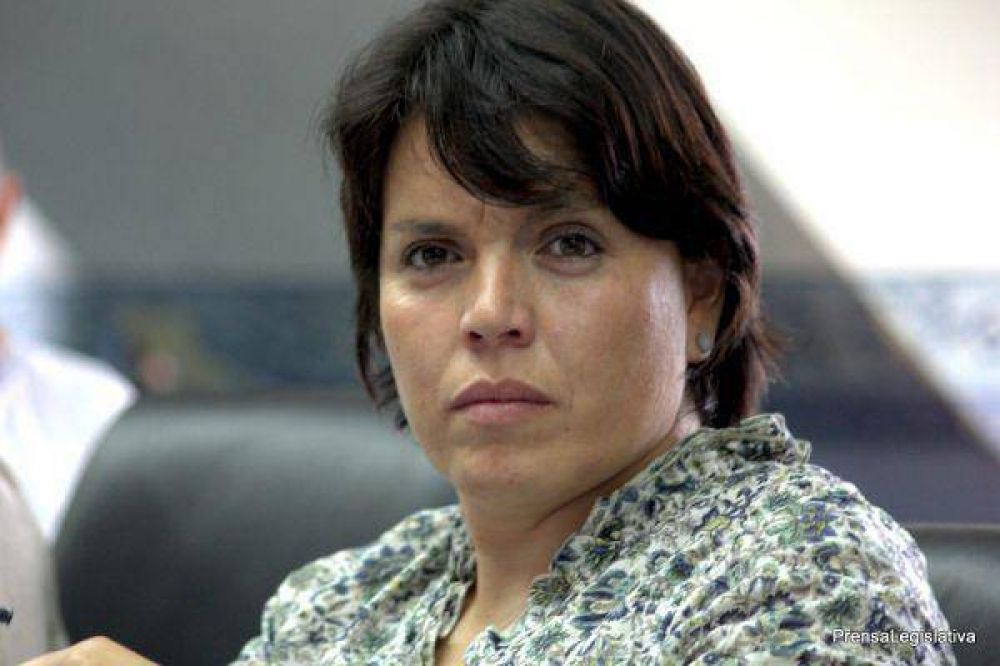 Andrade busca sacar un proyecto de financiamiento para la Salud P�blica