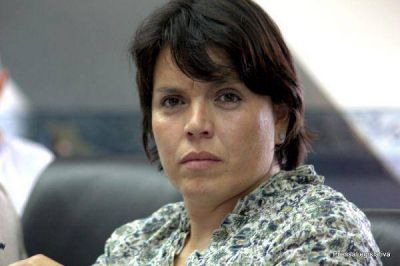 Andrade busca sacar un proyecto de financiamiento para la Salud P�blica