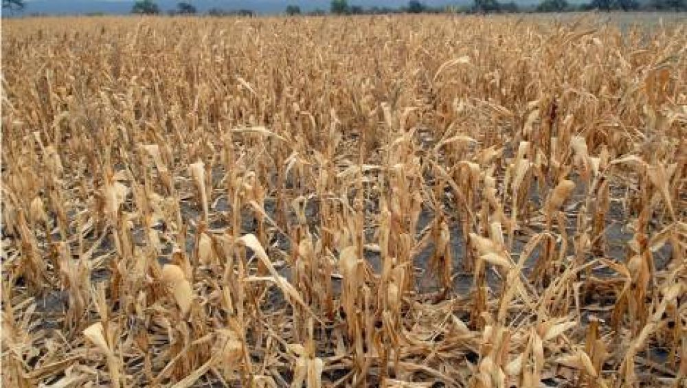 Los Altos: declaran emergencia h�drica, agr�cola y ganadera