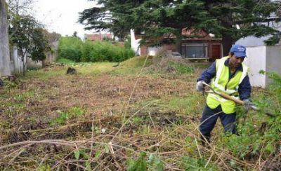 El Municipio contin�a adelante con el programa �Propietario Responsable�