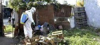 Admiten que Rosario todav�a no lleg� al pico de enfermos de dengue