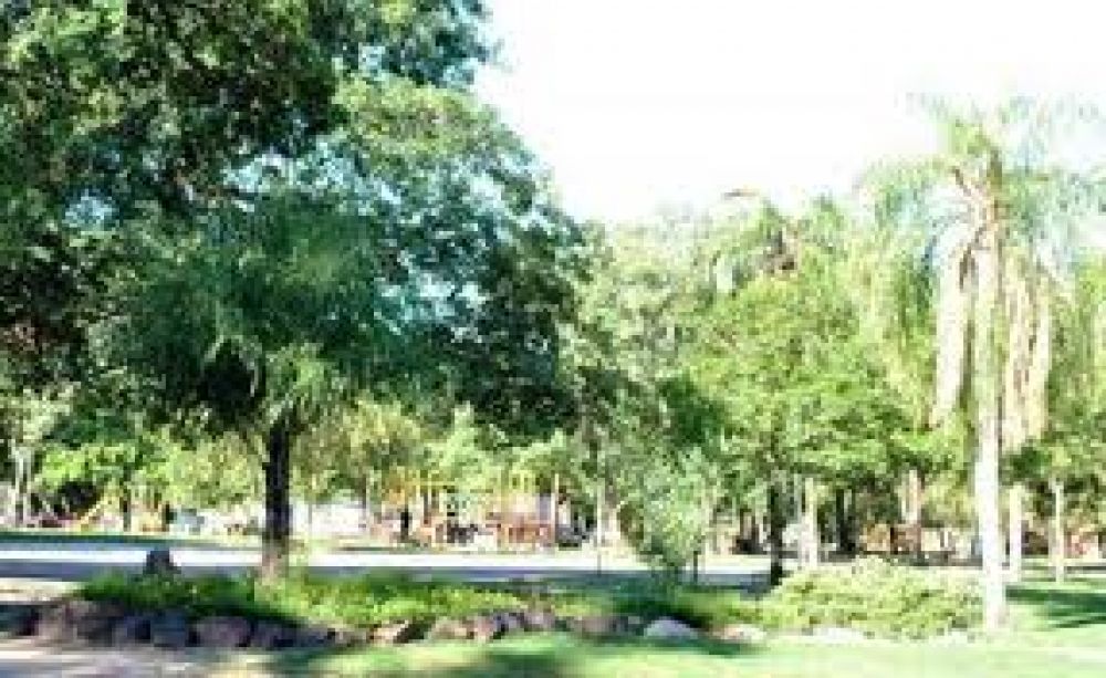 Recuperaran 20 mil metros de espacios verdes en el parque Mitre