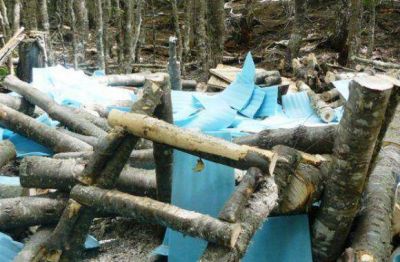 Tensi�n por las usurpaciones en Ushuaia