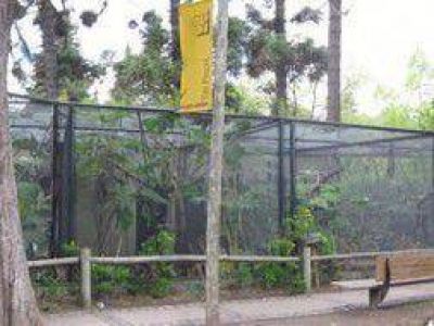 Zoo de La Plata: "No murieron m�s animales gracias a los trabajadores"