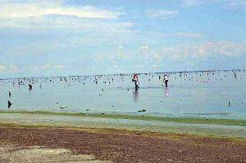 Vecinos de la ribera del lago denuncian fuertes olores