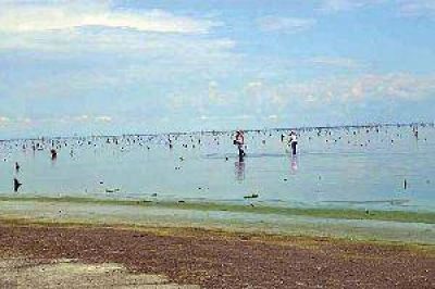 Vecinos de la ribera del lago denuncian fuertes olores
