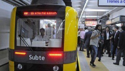 Casi 500 pungas aterrorizan a los pasajeros del subte