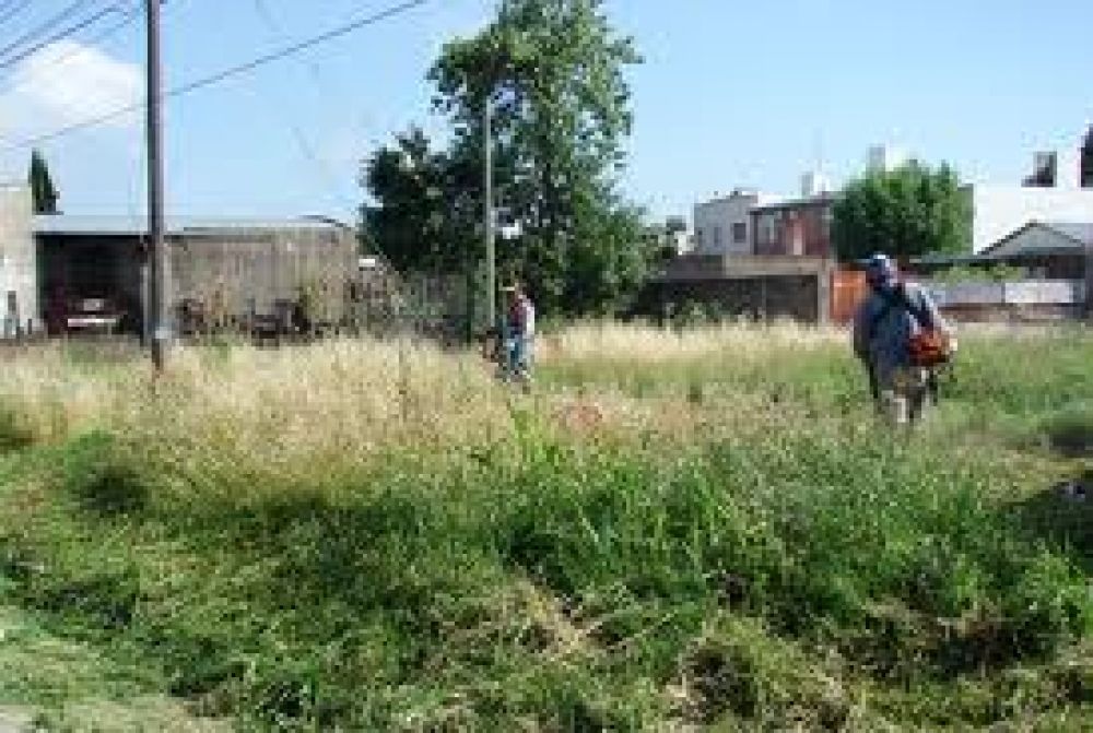 Control municipal sobre lotes privados