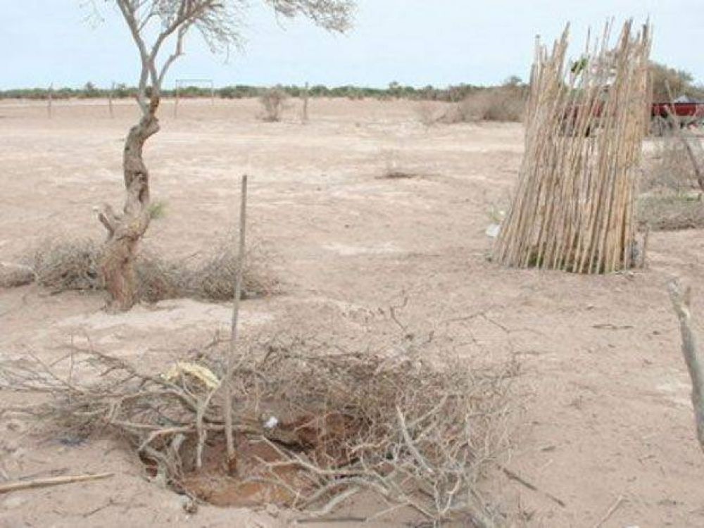 Conmemorar�n la semana de los pueblos ind�genas con un nuevo reclamo por la restituci�n de tierras