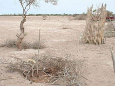 Conmemorar�n la semana de los pueblos ind�genas con un nuevo reclamo por la restituci�n de tierras