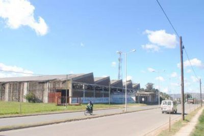 El mercado concentrador se ubicar�a en el predio de la ex f�brica Maggiori
